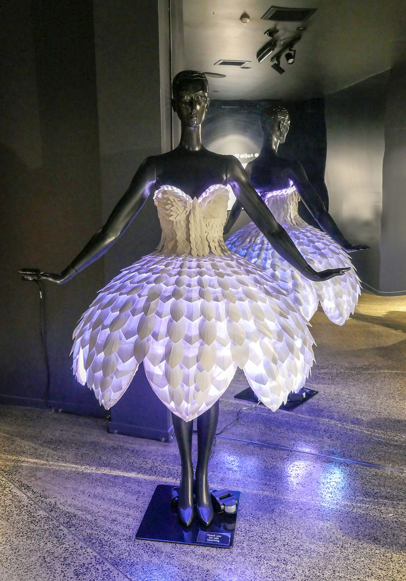 Experience the World of Wearable Art at the WOW Museum in Nelson New ...